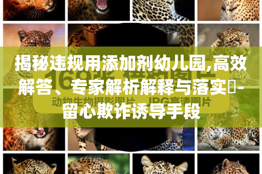 揭秘違規(guī)用添加劑幼兒園,高效解答、專家解析解釋與落實?-留心欺詐誘導(dǎo)手段