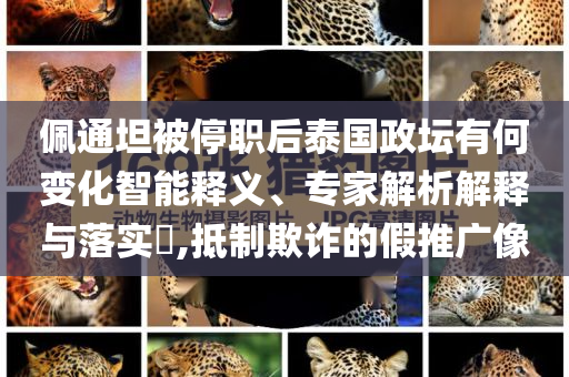 佩通坦被停職后泰國(guó)政壇有何變化智能釋義、專家解析解釋與落實(shí)?,抵制欺詐的假推廣像