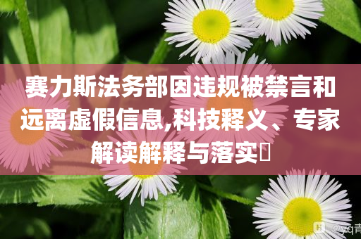 賽力斯法務(wù)部因違規(guī)被禁言和遠(yuǎn)離虛假信息,科技釋義、專家解讀解釋與落實(shí)?