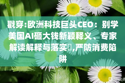 戳穿:歐洲科技巨頭CEO：別學(xué)美國AI砸大錢新穎釋義、專家解讀解釋與落實(shí)?,嚴(yán)防消費(fèi)陷阱
