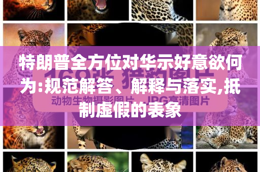 特朗普全方位對華示好意欲何為:規(guī)范解答、解釋與落實,抵制虛假的表象