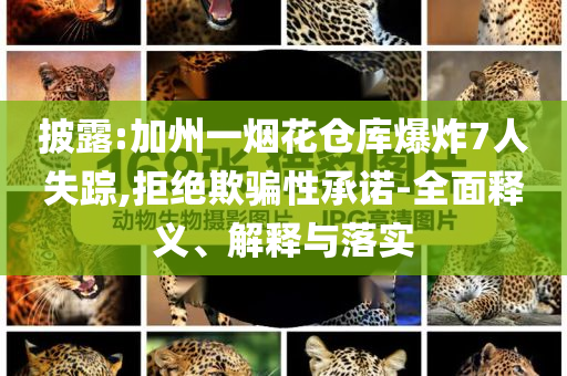 披露:加州一煙花倉庫爆炸7人失蹤,拒絕欺騙性承諾-全面釋義、解釋與落實(shí)