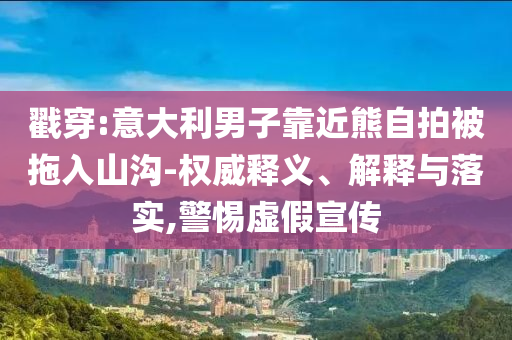戳穿:意大利男子靠近熊自拍被拖入山溝-權(quán)威釋義、解釋與落實(shí),警惕虛假宣傳