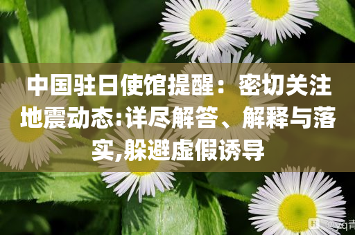 中國駐日使館提醒：密切關(guān)注地震動態(tài):詳盡解答、解釋與落實,躲避虛假誘導