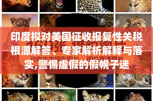 印度擬對美國征收報復(fù)性關(guān)稅根源解答、專家解析解釋與落實,警惕虛假的假幌子迷