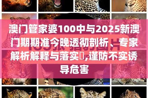 澳門管家婆100中與2025新澳門期期準(zhǔn)今晚透徹剖析、專家解析解釋與落實(shí)?,謹(jǐn)防不實(shí)誘導(dǎo)危害