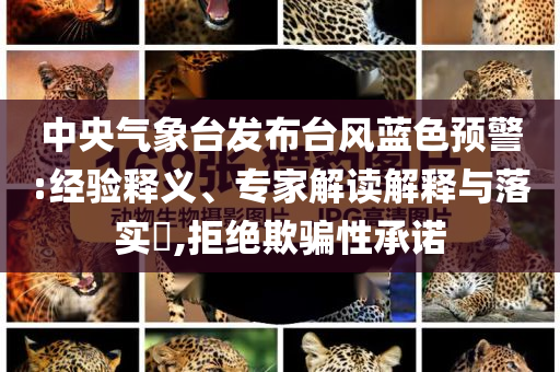 中央氣象臺發(fā)布臺風(fēng)藍(lán)色預(yù)警:經(jīng)驗釋義、專家解讀解釋與落實?,拒絕欺騙性承諾