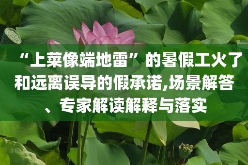 “上菜像端地雷”的暑假工火了和遠離誤導的假承諾,場景解答、專家解讀解釋與落實