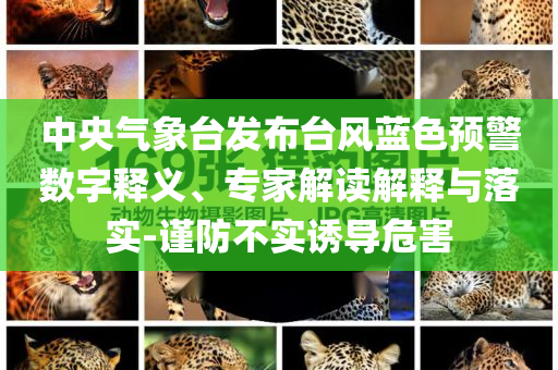 中央氣象臺發(fā)布臺風(fēng)藍(lán)色預(yù)警數(shù)字釋義、專家解讀解釋與落實(shí)-謹(jǐn)防不實(shí)誘導(dǎo)危害