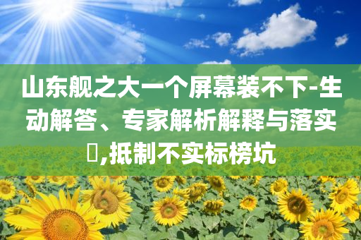 山東艦之大一個(gè)屏幕裝不下-生動(dòng)解答、專家解析解釋與落實(shí)?,抵制不實(shí)標(biāo)榜坑