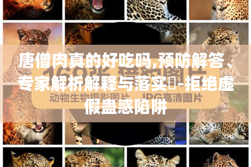 唐僧肉真的好吃嗎,預防解答、專家解析解釋與落實?-拒絕虛假蠱惑陷阱