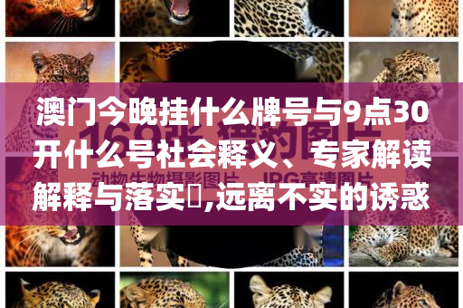 澳門今晚掛什么牌號與9點30開什么號社會釋義、專家解讀解釋與落實?,遠離不實的誘惑