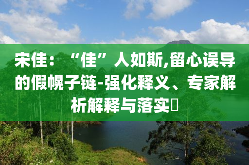 宋佳：“佳”人如斯,留心誤導的假幌子鏈-強化釋義、專家解析解釋與落實?