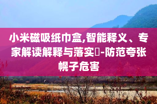 小米磁吸紙巾盒,智能釋義、專家解讀解釋與落實?-防范夸張幌子危害