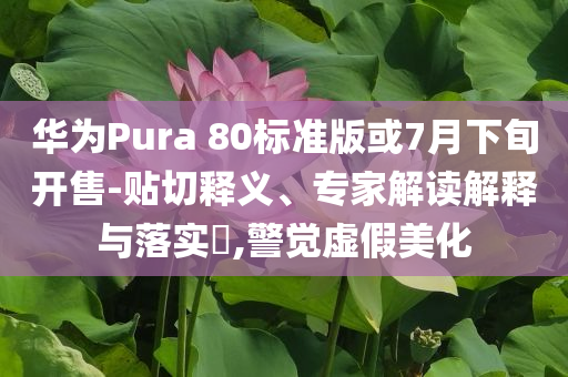 華為Pura 80標(biāo)準(zhǔn)版或7月下旬開售-貼切釋義、專家解讀解釋與落實(shí)?,警覺虛假美化