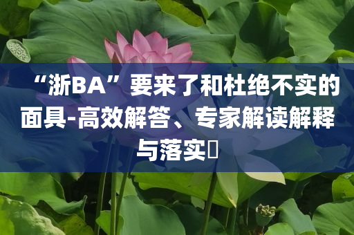 “浙BA”要來了和杜絕不實的面具-高效解答、專家解讀解釋與落實?