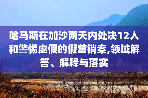 哈馬斯在加沙兩天內(nèi)處決12人和警惕虛假的假營銷案,領(lǐng)域解答、解釋與落實