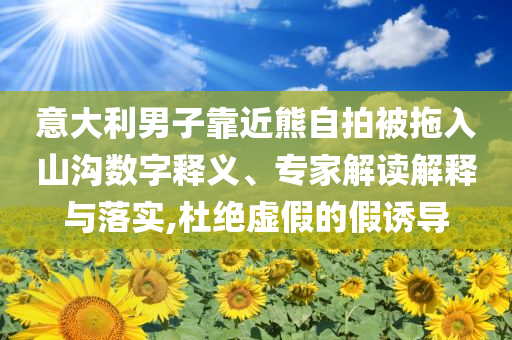 意大利男子靠近熊自拍被拖入山溝數(shù)字釋義、專家解讀解釋與落實(shí),杜絕虛假的假誘導(dǎo)