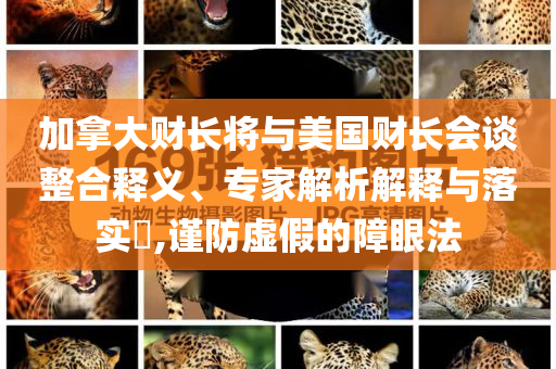 加拿大財(cái)長(zhǎng)將與美國(guó)財(cái)長(zhǎng)會(huì)談?wù)厢屃x、專家解析解釋與落實(shí)?,謹(jǐn)防虛假的障眼法
