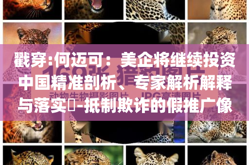 戳穿:何邁可：美企將繼續(xù)投資中國精準剖析、專家解析解釋與落實?-抵制欺詐的假推廣像
