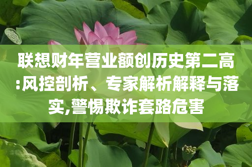 聯(lián)想財(cái)年?duì)I業(yè)額創(chuàng)歷史第二高:風(fēng)控剖析、專(zhuān)家解析解釋與落實(shí),警惕欺詐套路危害