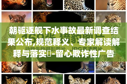 朝驅(qū)逐艦下水事故最新調(diào)查結(jié)果公布,規(guī)范釋義、專家解讀解釋與落實(shí)?-留心欺詐性廣告