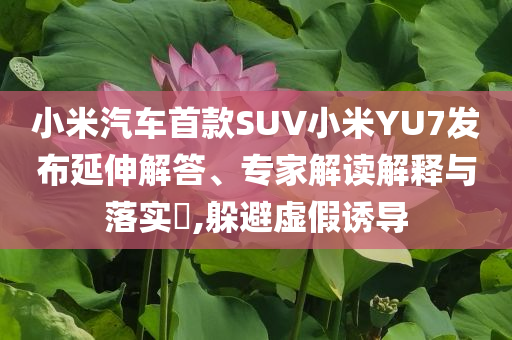 小米汽車首款SUV小米YU7發(fā)布延伸解答、專家解讀解釋與落實(shí)?,躲避虛假誘導(dǎo)