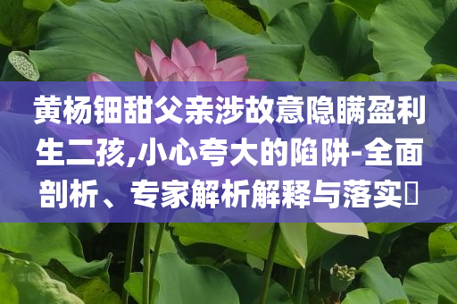 黃楊鈿甜父親涉故意隱瞞盈利生二孩,小心夸大的陷阱-全面剖析、專家解析解釋與落實(shí)?