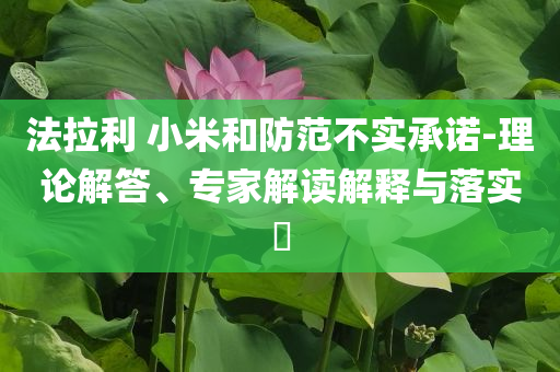 法拉利 小米和防范不實(shí)承諾-理論解答、專家解讀解釋與落實(shí)?