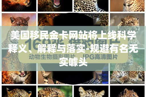 美國移民金卡網站將上線科學釋義、解釋與落實-規(guī)避有名無實噱頭