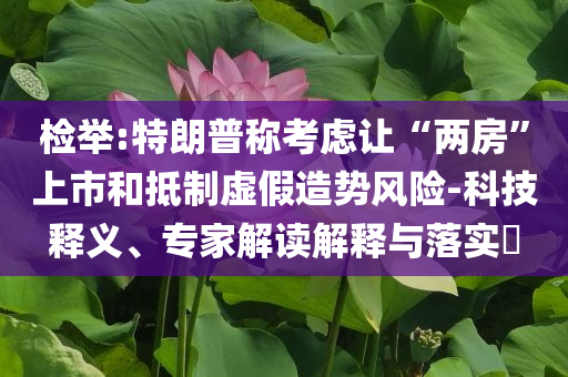 檢舉:特朗普稱考慮讓“兩房”上市和抵制虛假造勢(shì)風(fēng)險(xiǎn)-科技釋義、專家解讀解釋與落實(shí)?