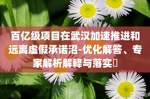 百億級(jí)項(xiàng)目在武漢加速推進(jìn)和遠(yuǎn)離虛假承諾沼-優(yōu)化解答、專家解析解釋與落實(shí)?