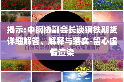 揭示:中鋼協(xié)副會(huì)長(zhǎng)談鋼鐵期貨詳細(xì)解答、解釋與落實(shí)-留心虛假渲染