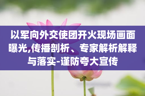 以軍向外交使團(tuán)開(kāi)火現(xiàn)場(chǎng)畫面曝光,傳播剖析、專家解析解釋與落實(shí)-謹(jǐn)防夸大宣傳