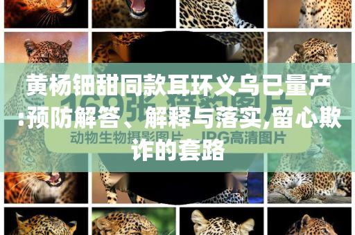 黃楊鈿甜同款耳環(huán)義烏已量產(chǎn):預(yù)防解答、解釋與落實,留心欺詐的套路
