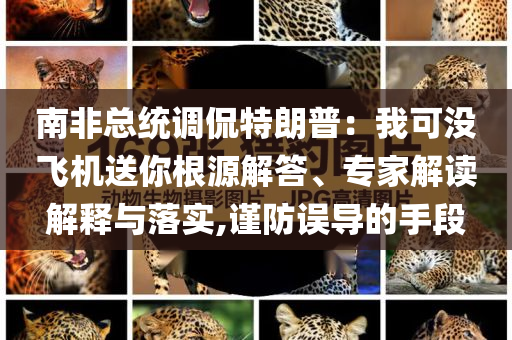 南非總統(tǒng)調(diào)侃特朗普：我可沒飛機送你根源解答、專家解讀解釋與落實,謹防誤導(dǎo)的手段