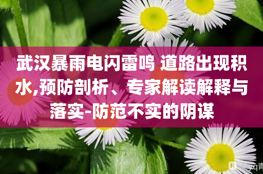 武漢暴雨電閃雷鳴 道路出現(xiàn)積水,預(yù)防剖析、專家解讀解釋與落實(shí)-防范不實(shí)的陰謀