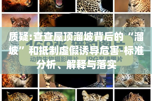質(zhì)疑:查查屋頂溜坡背后的“溜坡”和抵制虛假誘導(dǎo)危害-標(biāo)準(zhǔn)分析、解釋與落實(shí)