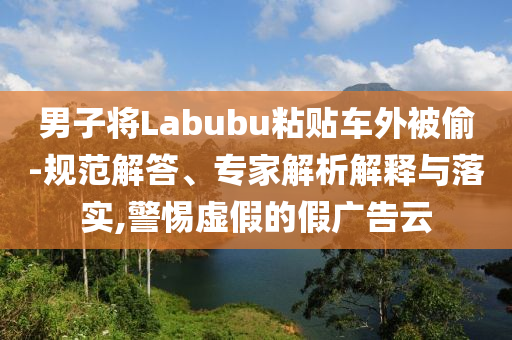 男子將Labubu粘貼車外被偷-規(guī)范解答、專家解析解釋與落實,警惕虛假的假廣告云