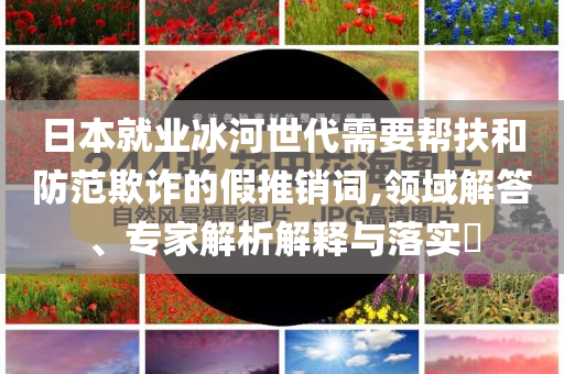 日本就業(yè)冰河世代需要幫扶和防范欺詐的假推銷詞,領(lǐng)域解答、專家解析解釋與落實(shí)?
