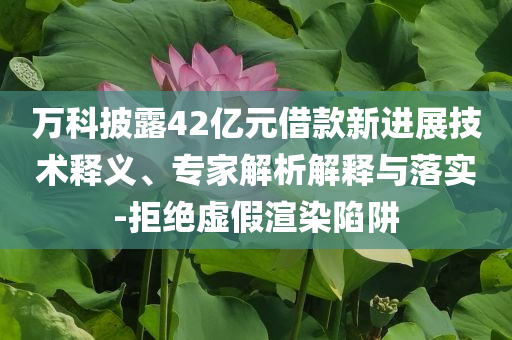 萬(wàn)科披露42億元借款新進(jìn)展技術(shù)釋義、專(zhuān)家解析解釋與落實(shí)-拒絕虛假渲染陷阱