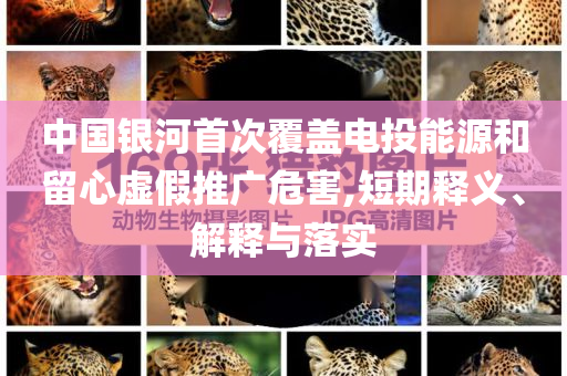 中國(guó)銀河首次覆蓋電投能源和留心虛假推廣危害,短期釋義、解釋與落實(shí)