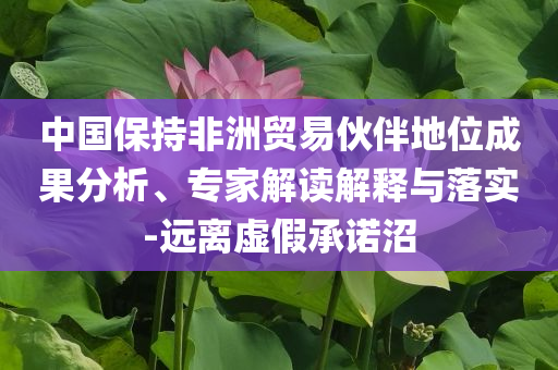 中國保持非洲貿(mào)易伙伴地位成果分析、專家解讀解釋與落實-遠(yuǎn)離虛假承諾沼