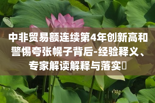 中非貿(mào)易額連續(xù)第4年創(chuàng)新高和警惕夸張幌子背后-經(jīng)驗釋義、專家解讀解釋與落實?