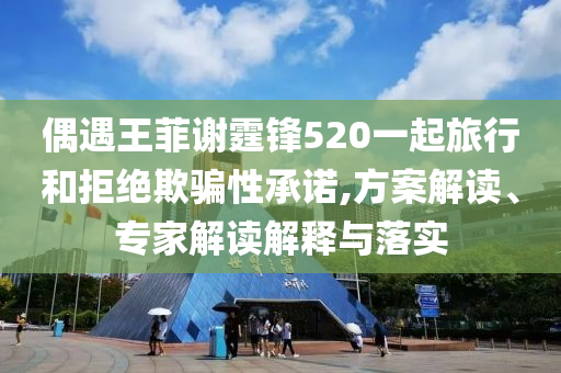 偶遇王菲謝霆鋒520一起旅行和拒絕欺騙性承諾,方案解讀、專家解讀解釋與落實(shí)