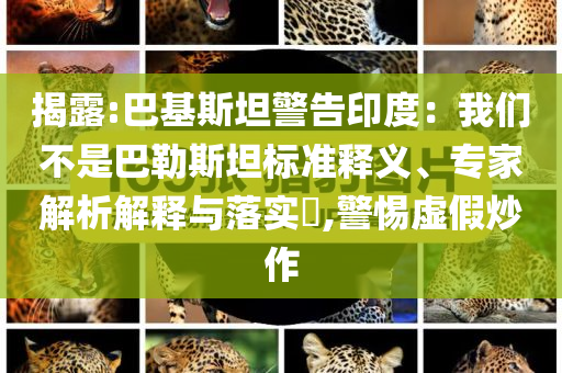 揭露:巴基斯坦警告印度：我們不是巴勒斯坦標(biāo)準(zhǔn)釋義、專家解析解釋與落實?,警惕虛假炒作