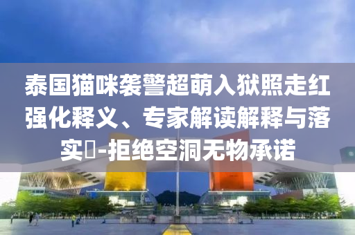 泰國貓咪襲警超萌入獄照走紅強(qiáng)化釋義、專家解讀解釋與落實(shí)?-拒絕空洞無物承諾
