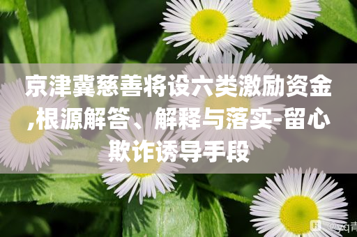 京津冀慈善將設(shè)六類激勵(lì)資金,根源解答、解釋與落實(shí)-留心欺詐誘導(dǎo)手段