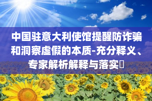 中國(guó)駐意大利使館提醒防詐騙和洞察虛假的本質(zhì)-充分釋義、專家解析解釋與落實(shí)?