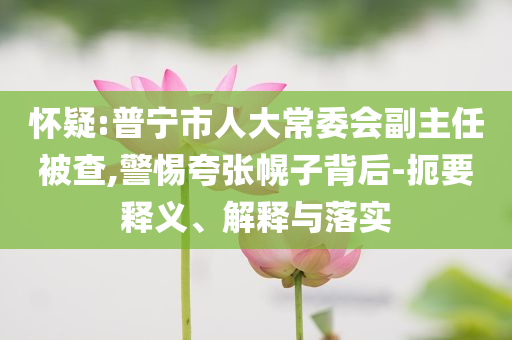 懷疑:普寧市人大常委會(huì)副主任被查,警惕夸張幌子背后-扼要釋義、解釋與落實(shí)